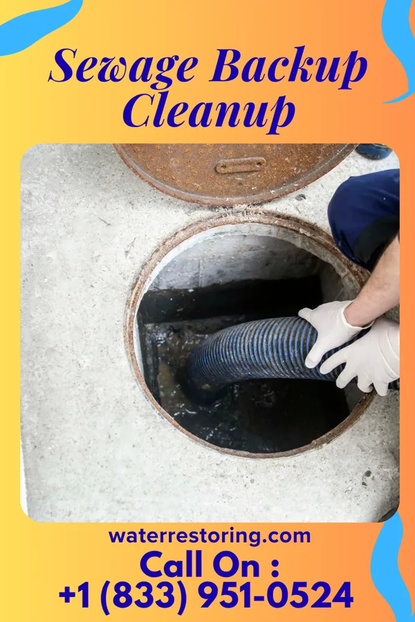 Sewage Backup Cleanup in Bound Brook, NJ