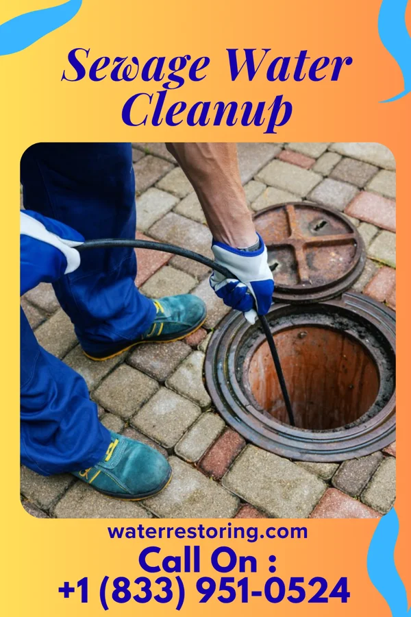 Sewage Water Cleanup in Bound Brook, NJ