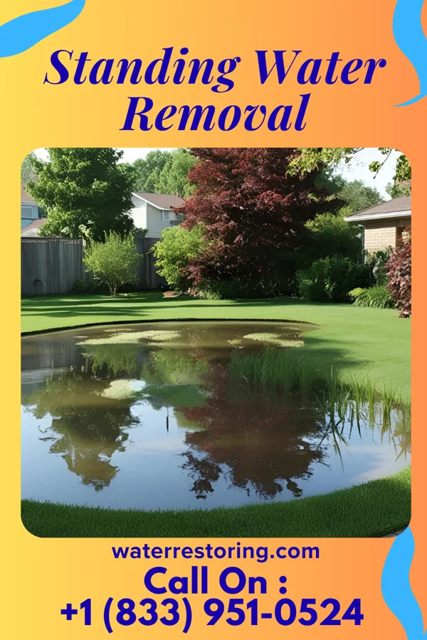 Standing Water Removal in Bound Brook, NJ